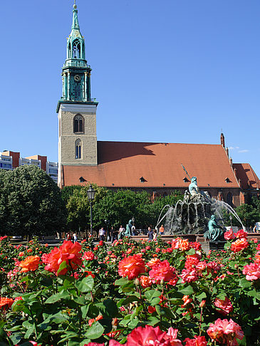 Marienkirche Foto 