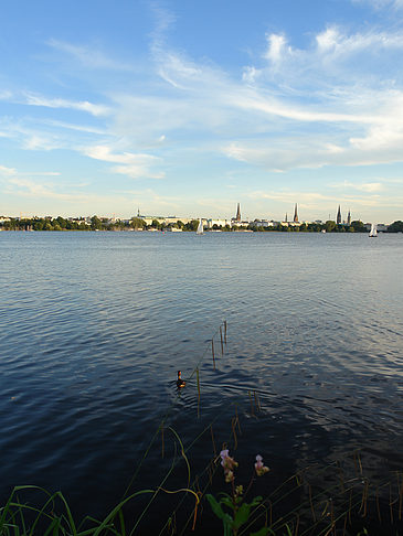 Außenalster Panorama Fotos