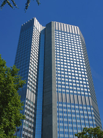 Eurotower Foto 