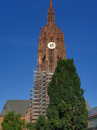 Fotos Kaiserdom St. Bartholomäus mit Baum | Frankfurt am Main