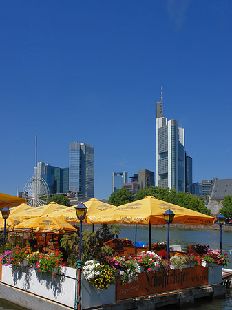 Fotos Skyline von Frankfurt mit Schöfferhofer Weizen