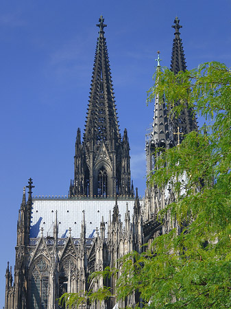 Foto Türme des Kölner Doms