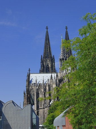 Türme des Kölner Doms Fotos