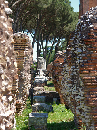 Foto Ruinen am Apollo Tempel - Rom