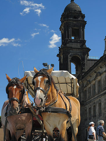 Fotos Pferdekutsche | Dresden