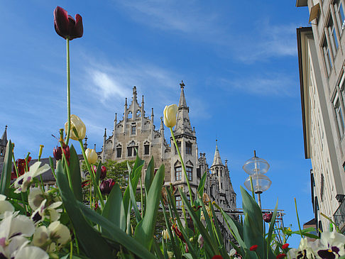 Foto Neues Rathaus - München