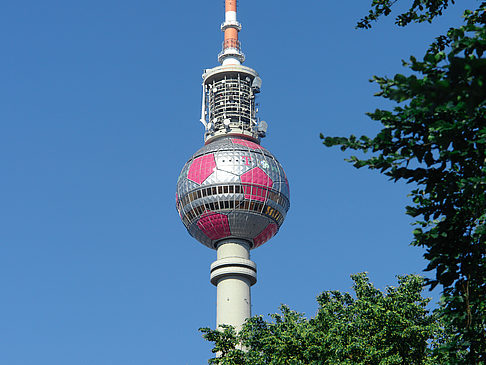 Fernsehturm und Bäume Fotos