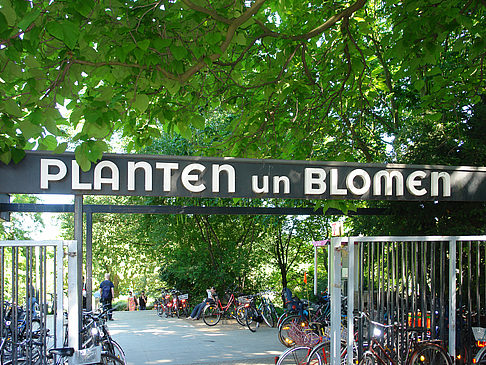 Foto Planten un Blomen - Eingang