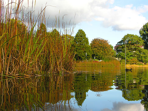 Fotos Planten un Blomen | Hamburg