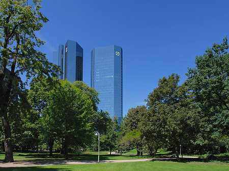 Foto Deutsche Bank mit Wald