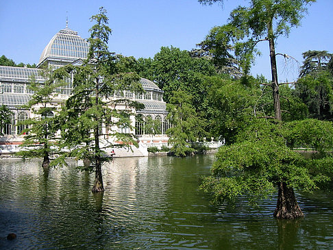 Fotos Palacio de Cristal | Madrid