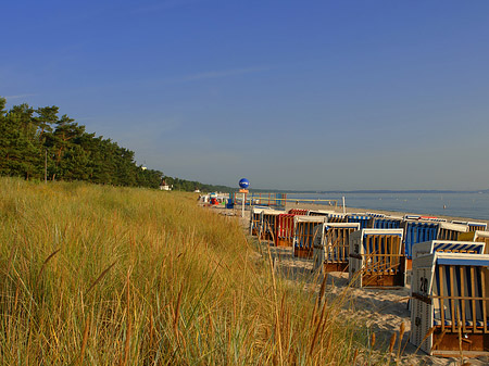 Foto Dünen - Ostseebad Binz