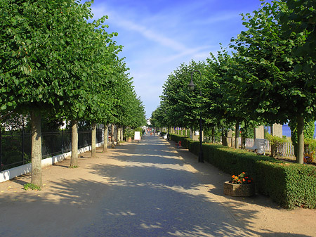 Foto Strandpromenade - Ostseebad Binz