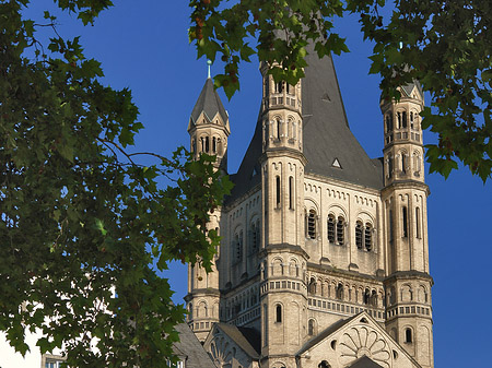 Fotos Groß St.Martin hinter Baum | Köln