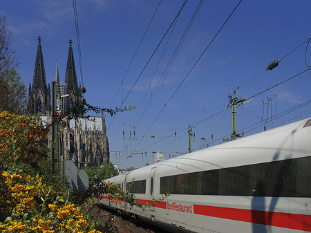 Kölner Dom mit ICE Foto 