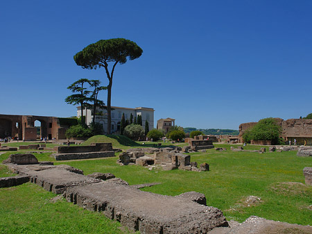 Fotos Domus Augustana und das Museo Palatino | Rom