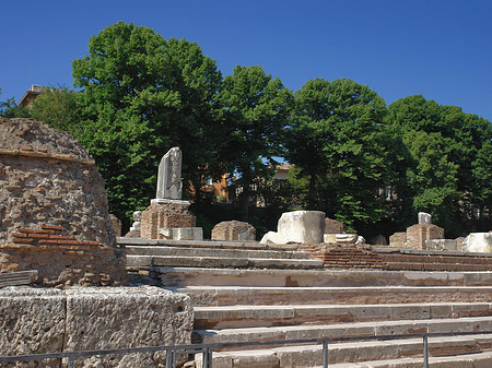 Foto Bäume im Forum Romanum - Rom