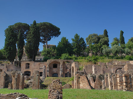 Fotos Forum Romanum | Rom