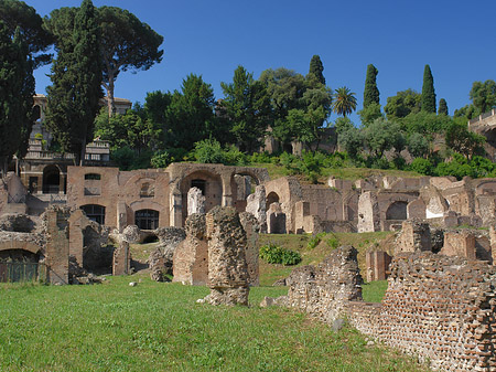 Fotos Tempel der Vesta | Rom