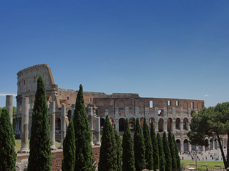 Fotos Kolosseum mit dem Forum Romanum