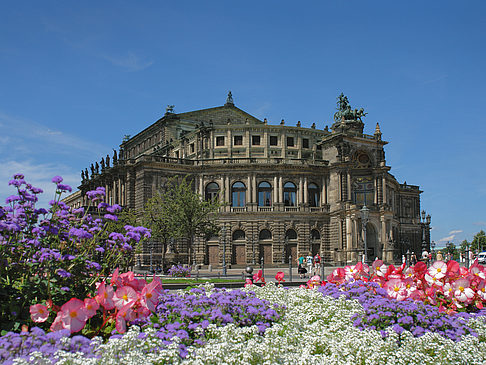 Foto Semperoper mit Blumen