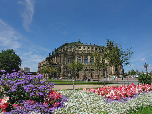 Semperoper mit Blumen Fotos