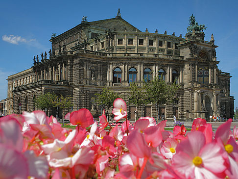 Foto Semperoper mit Blumen